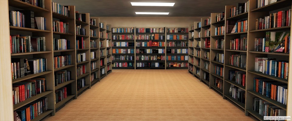 library11